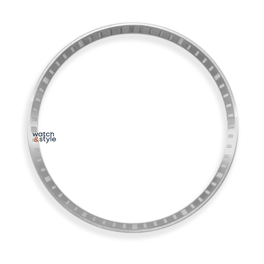 C1209 SKX007/SRPD Lumed Chapter Ring - Silver - BGW9 – Watch and Style
